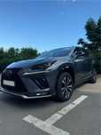 LEXUS NX300h 2019 F-Sport