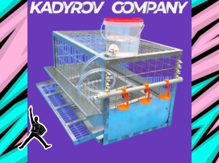 Оборудуйте свой двор: клетки для кур, которые работают!