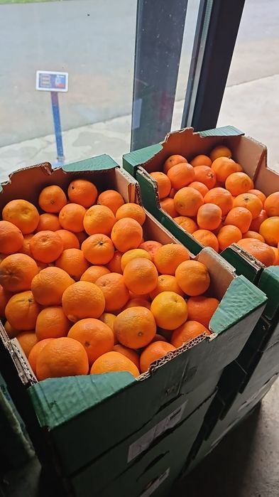 Mandarine 3.0.              .