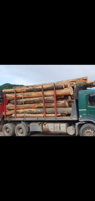 Lemn de foc fag bustean