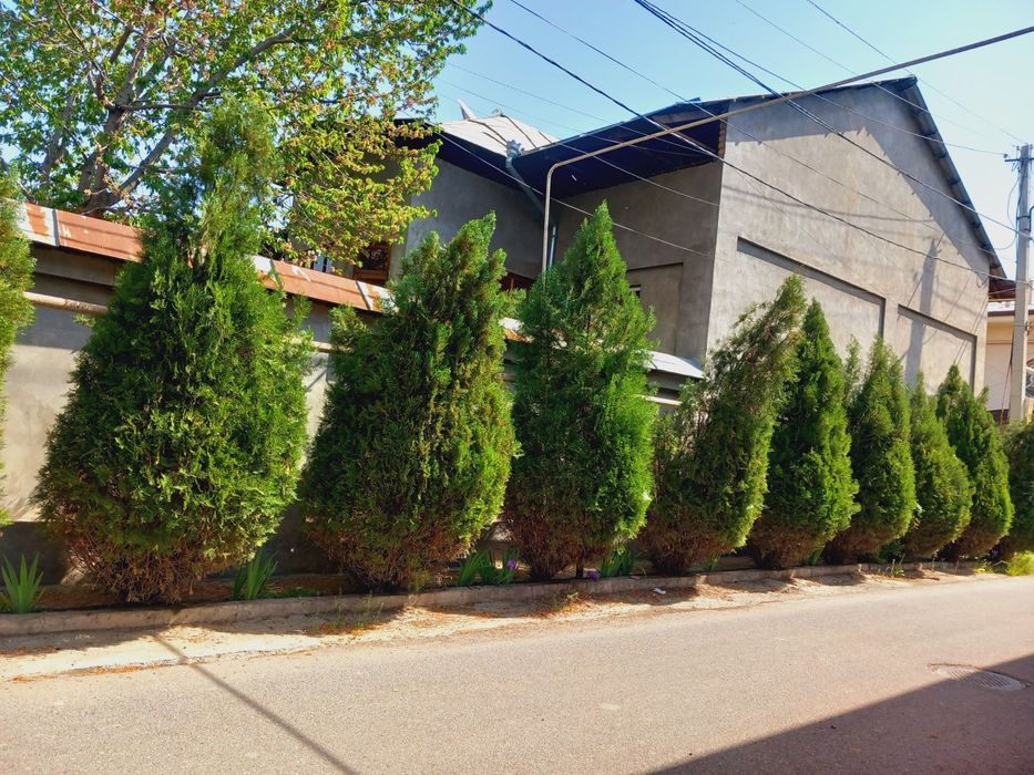 Продается участка 6 соток