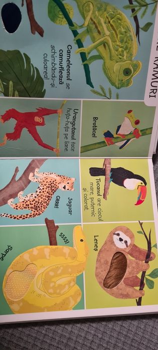 Carte animale sălbatice atinge