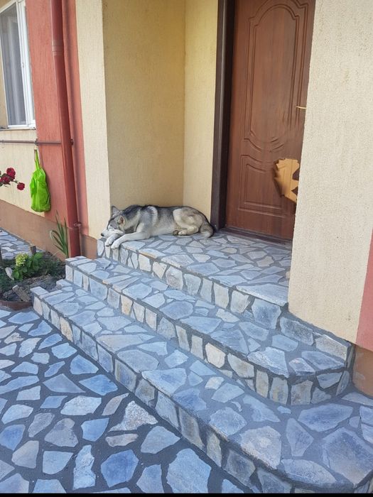 Piatra naturala de stâncă