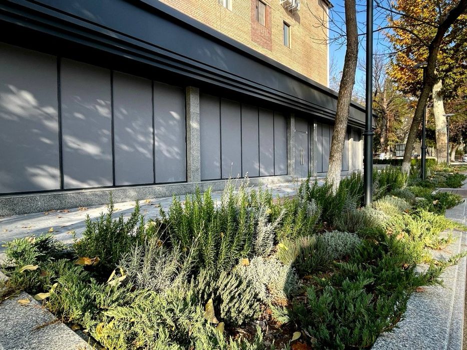 Нежилое 844квм Ц-2 Детский мир 1й этаж Продаётся