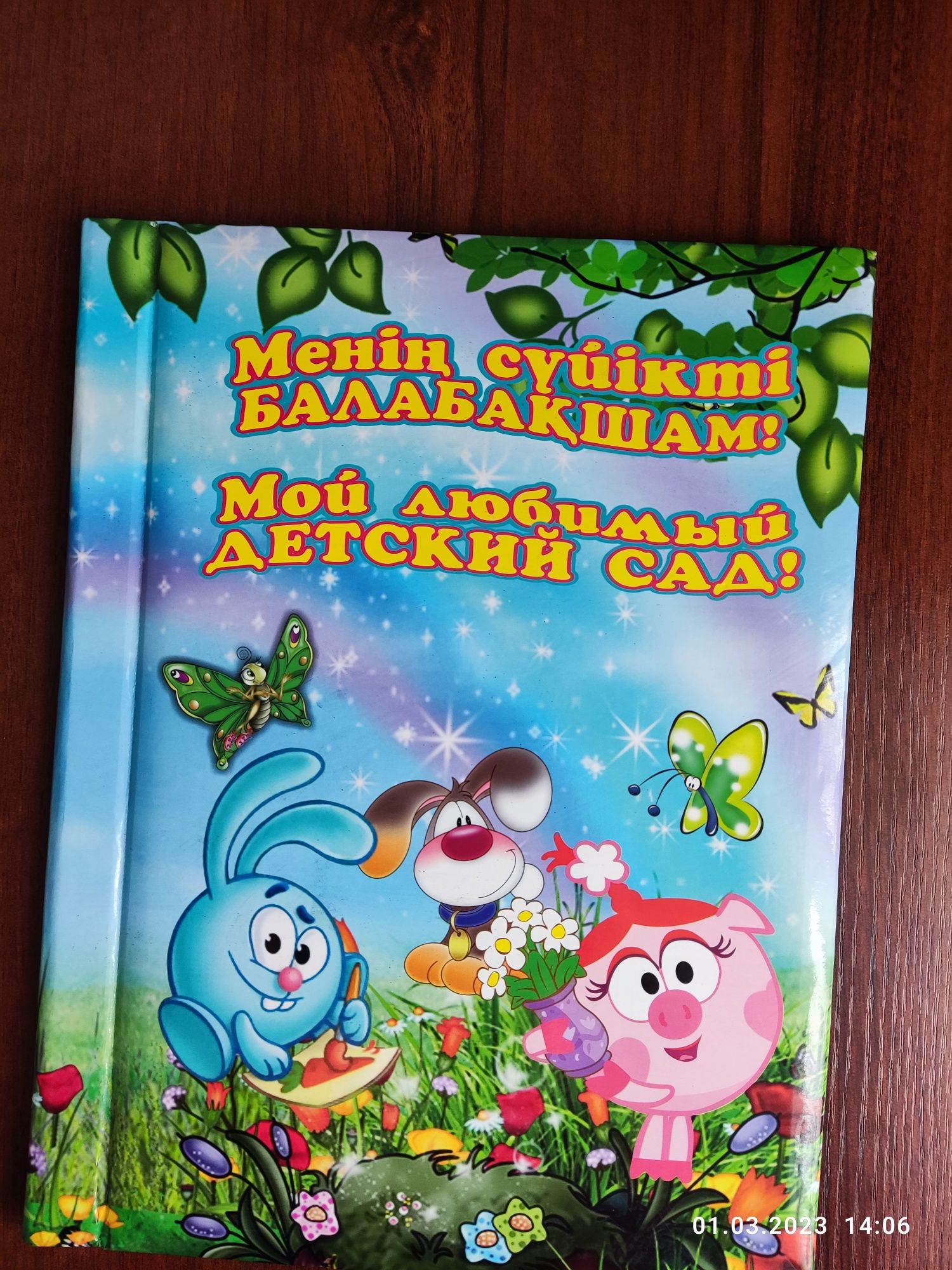 Альбомы для выпускников