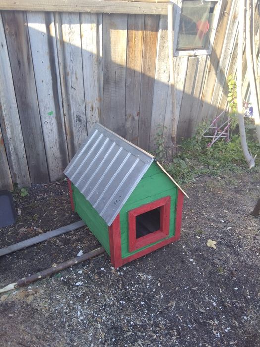 Будка для собак.