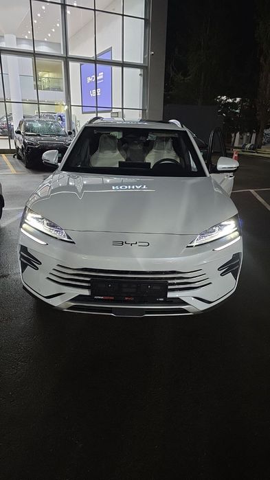 BYD Champion Hybrid 2024