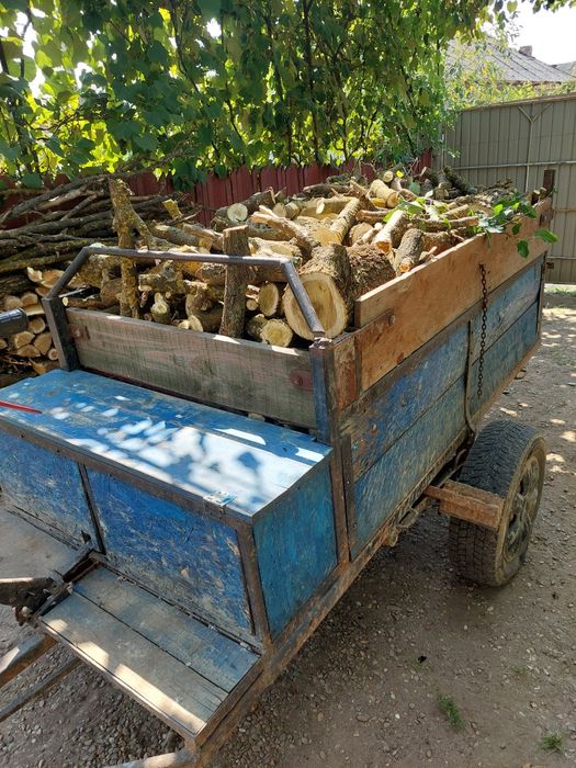 Vând motocultor DKD