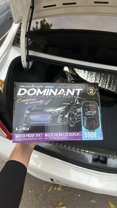 Dominant 909s magicar