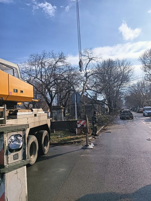 Tăiere/Fasonare/Toaletare Copaci/Alpinism Utilitar Rapid.