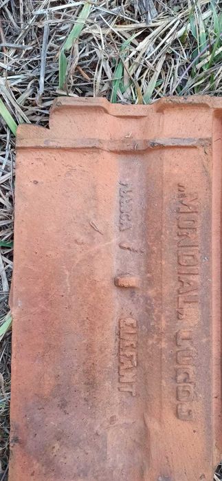 vand tigla si olane Mondial (Elefant)