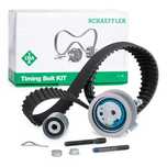 Set distributie pentru Audi, Ford, Seat, Skoda, VW. INA 530 0201 10