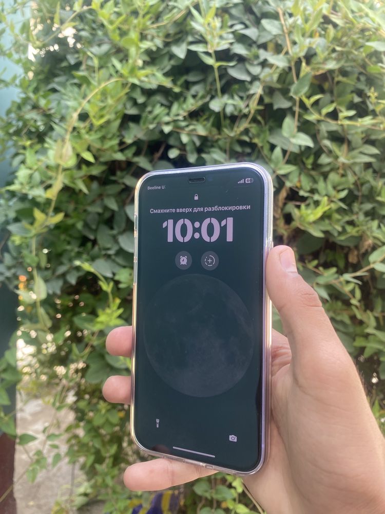 iphone 12 64. tali