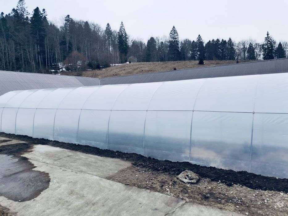 Sera/Solar profesional pentru gradina legume fructe flori, folie 170