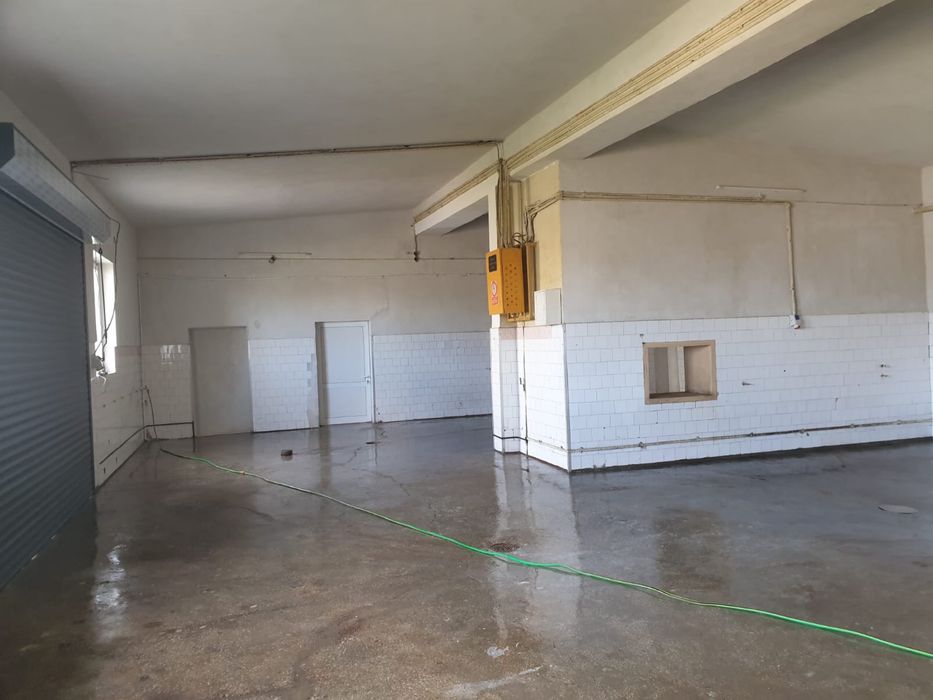 Închiriere hale – frigorifice și simple-utilități complete 300/250/140