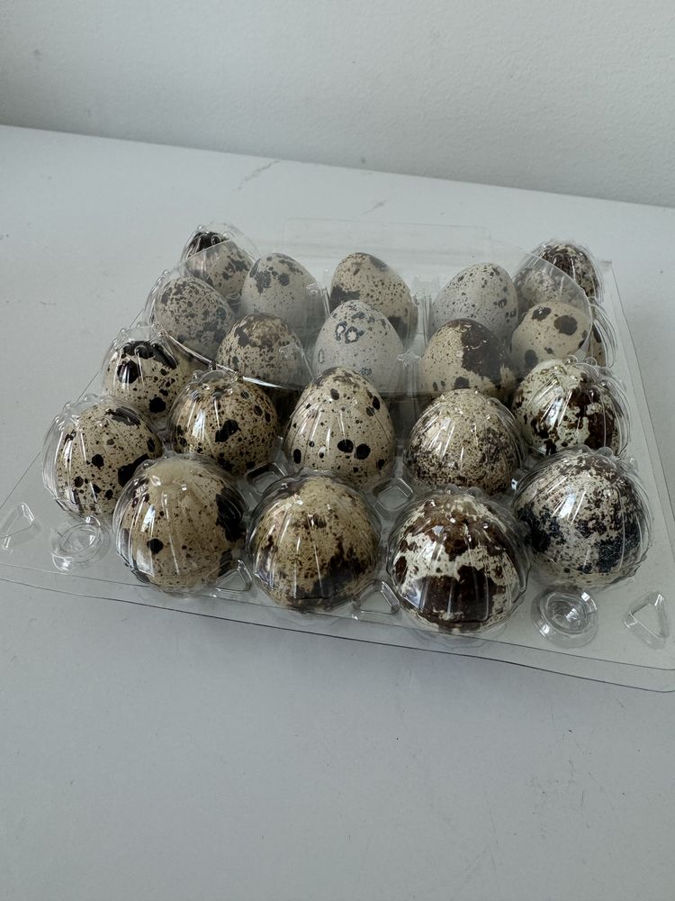 Перепелиные яйца  (домашнего производства)