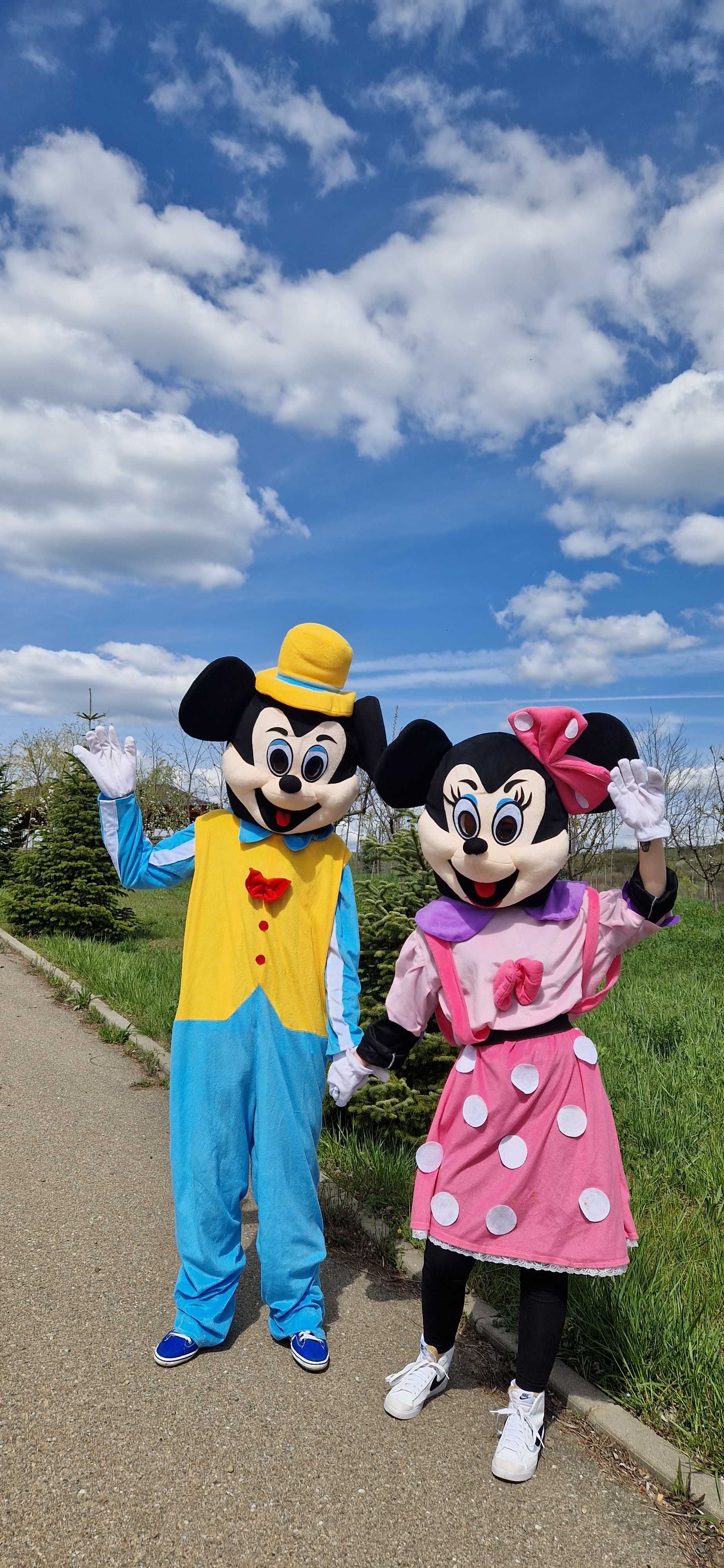 Mickey&Minnie de inchiriat Oradea