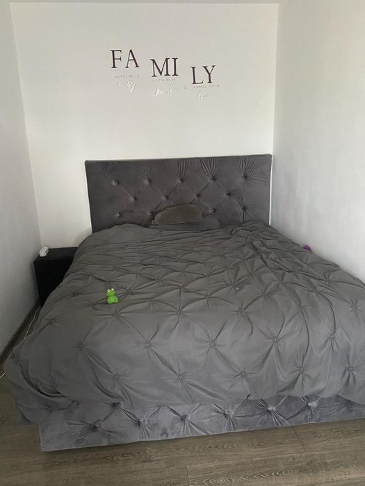 Apartament 2 camere aleea teilor