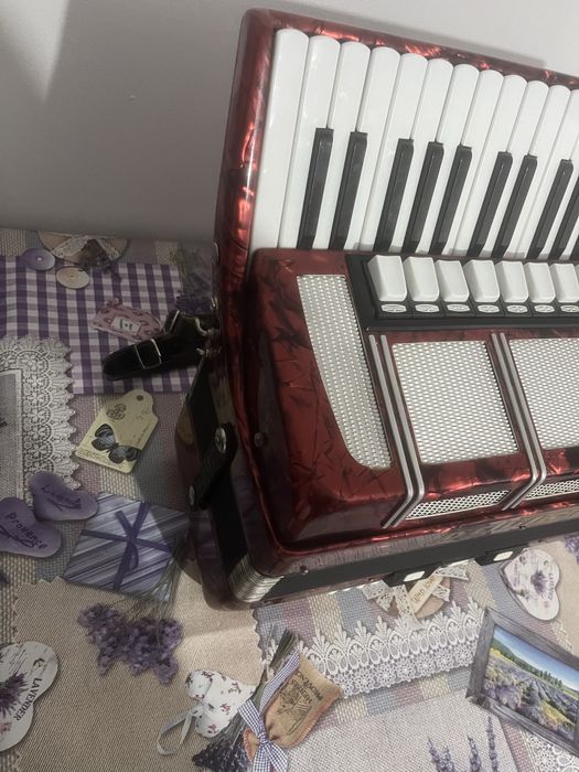 Acordeon Delicia