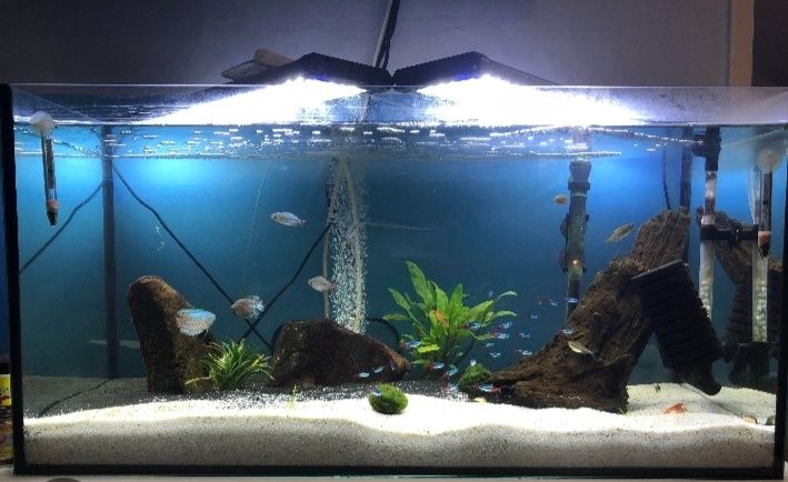 Акварим ясаб ремонт киласиз