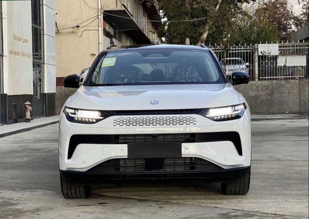 Leapmotor C11 gibrit smart full