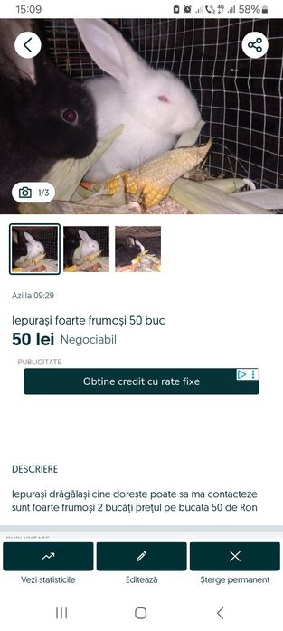 Iepurași drăgălași