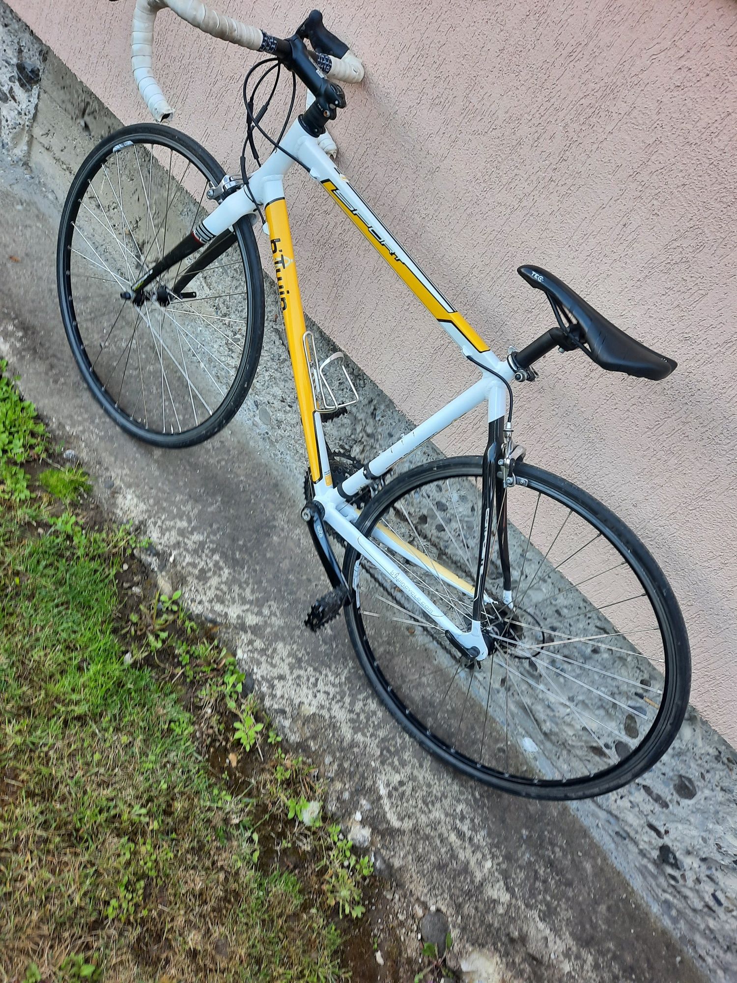 Bicicleta cursiera