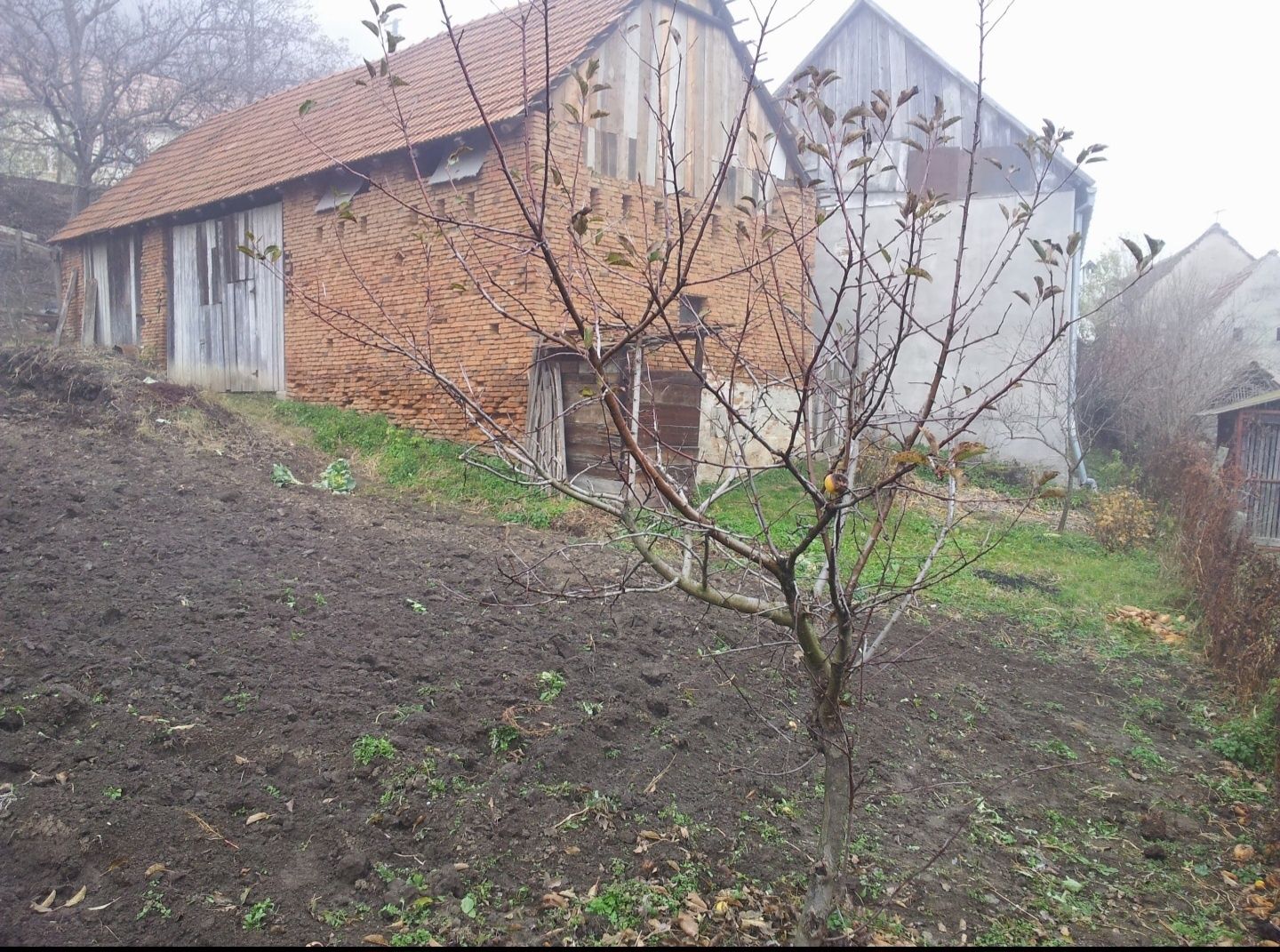 Casă de vânzare curte și gradină suprafață 1500m