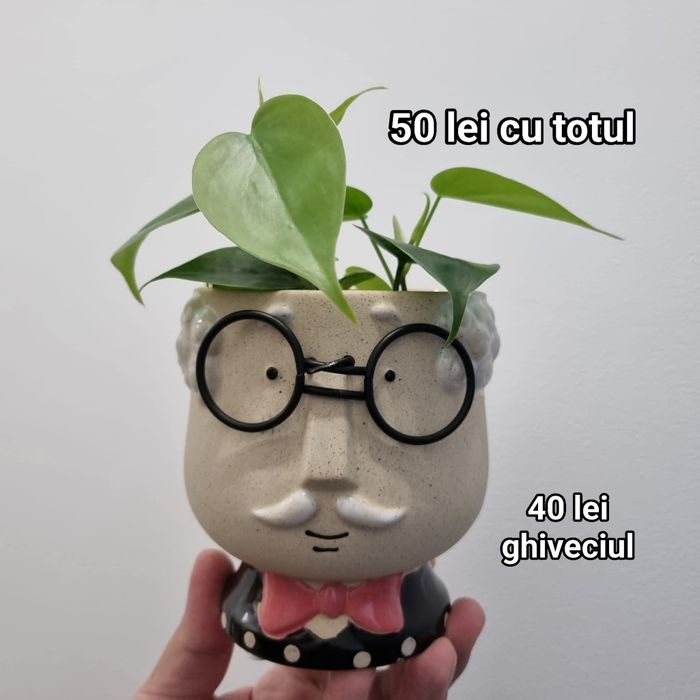 Ghiveci ceramic nou, model deosebit cu ochelari și papion