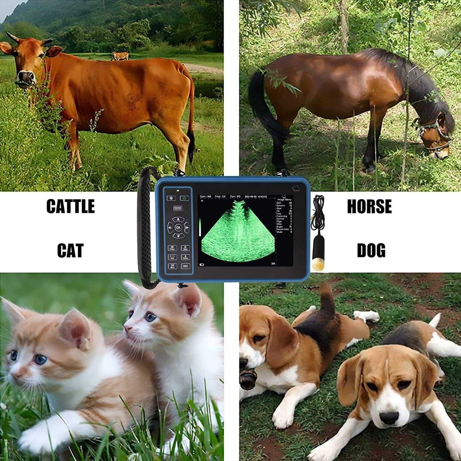 Scaner portabil de sunet B-Ultra Animale de fermă