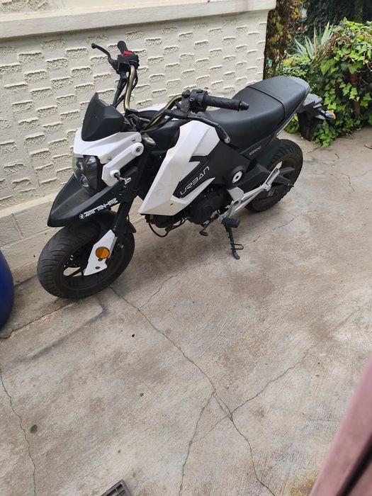 Scuter 125 urban(honda)