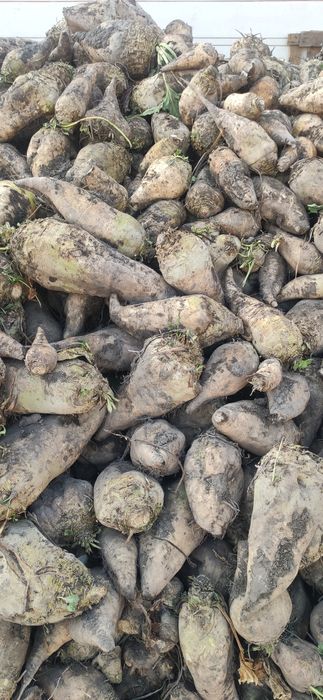 Karmavoy shrin lavlagi