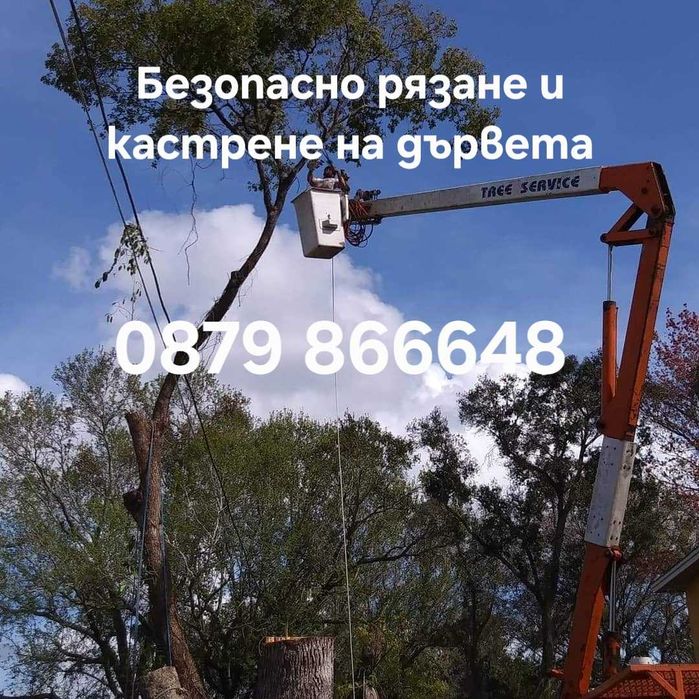 Професионално рязане и кастрене на опасни дървета с автовишка София