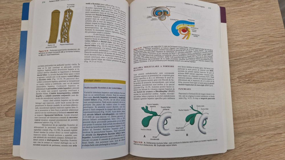 Langman Embriologie Medicală , T.W. Sadler, Ediția a 10-a, Română