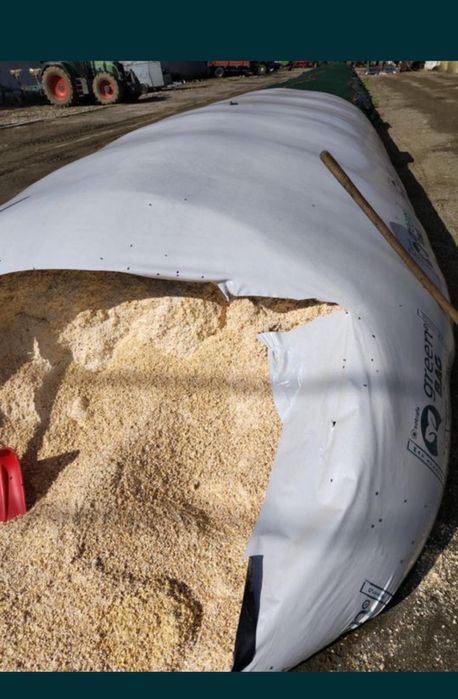 Vand crimping porumb