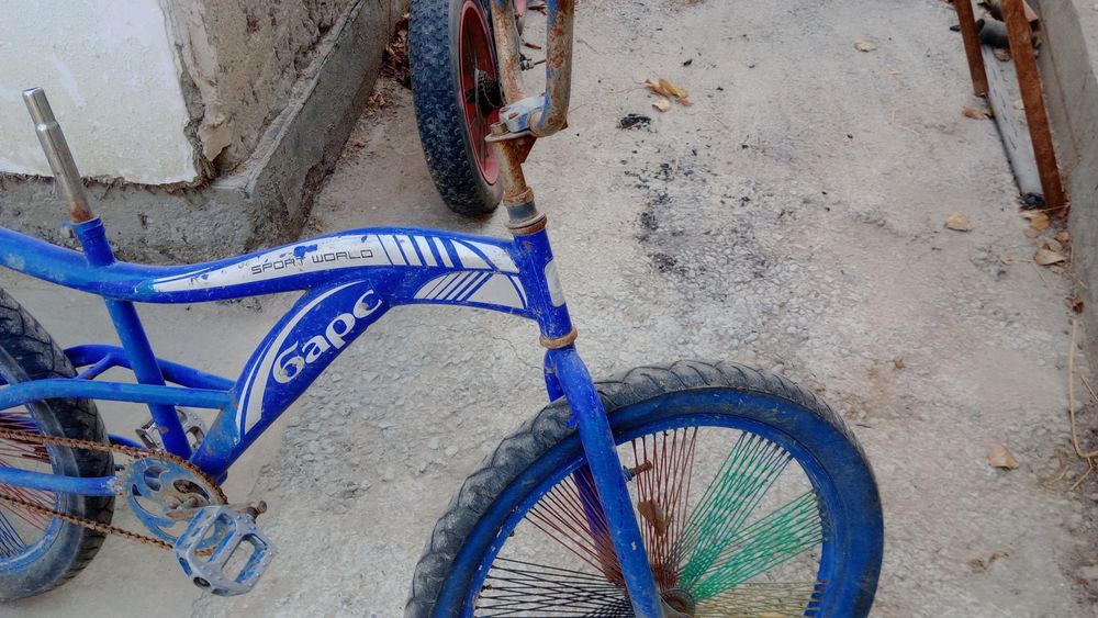 Velosped Bars 20 2024