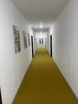 Chirie apartamente  Petroșani 2 camere, mobilat,utilat,renovat total
