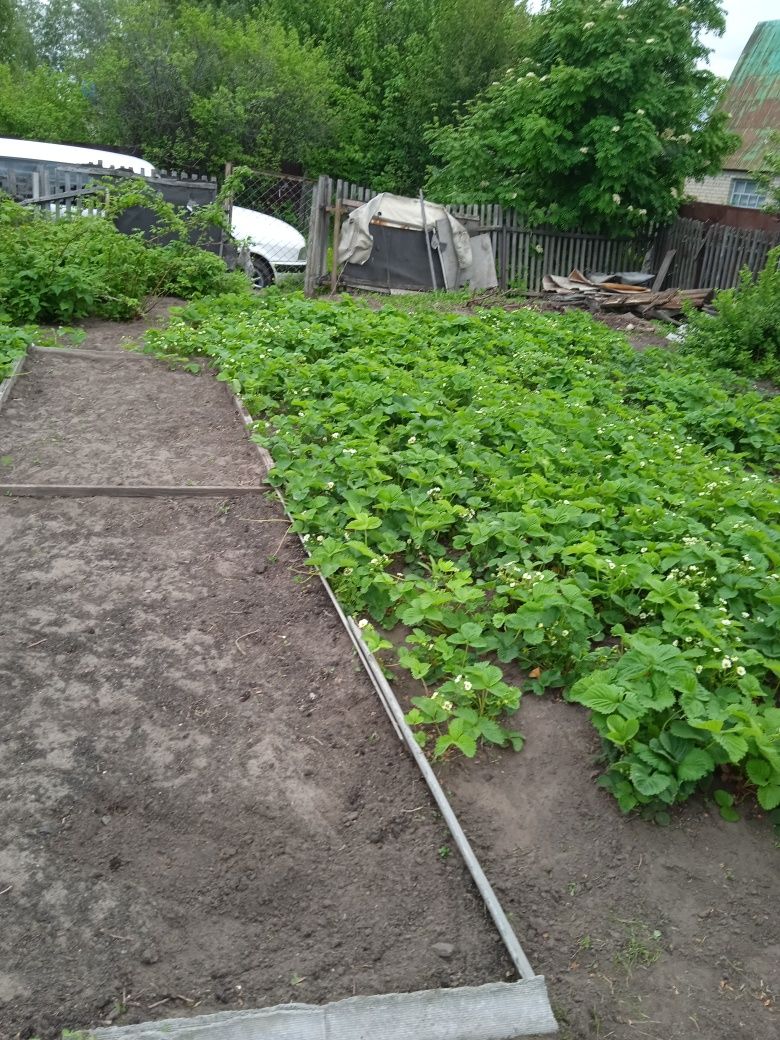 Продам дачу с/о Горизонт