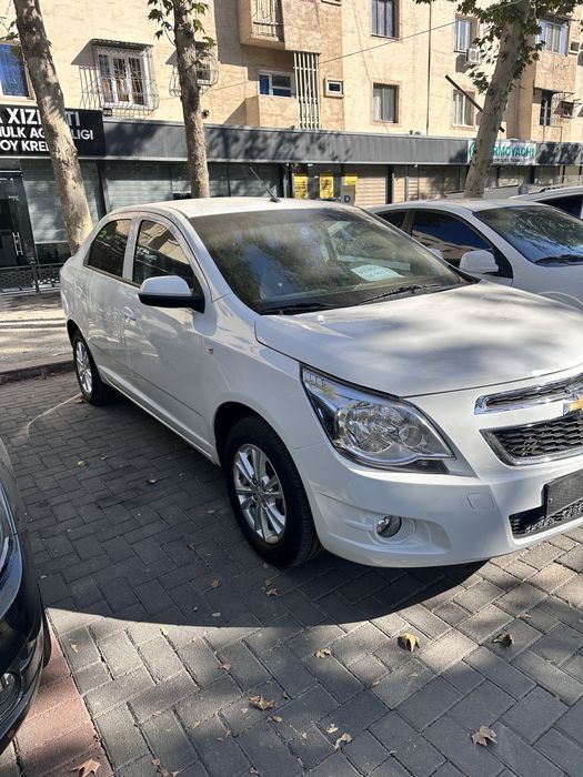 Cobalt stayl 2025
