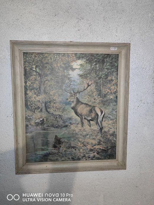 Picturi originale, semnate de artist.
Accept schimburi cu antichități