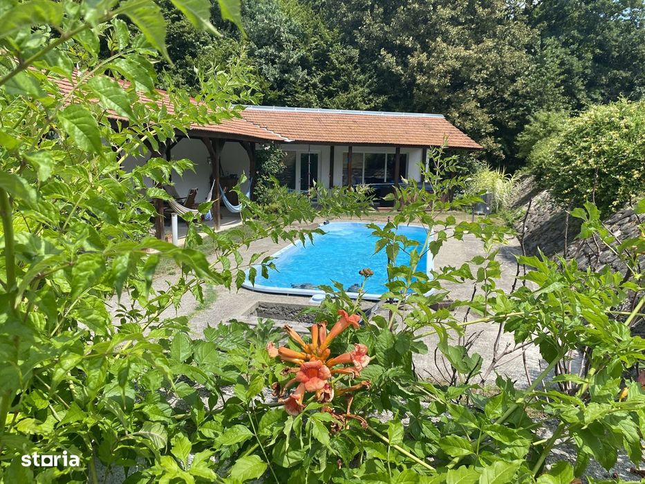 Proprietate exclusivista cu 60.000 mp teren și pădure