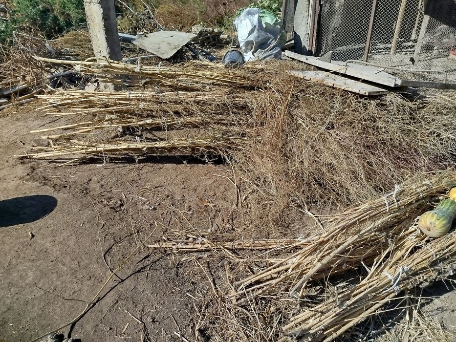 Супурги сотилади