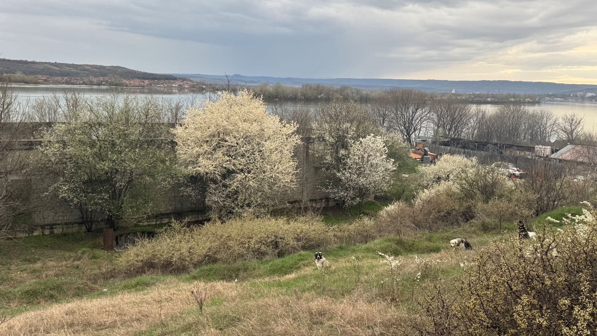 Teren de vânzare - 3.615 mp cu deschidere la Dunăre, Șimian, Mehedinți