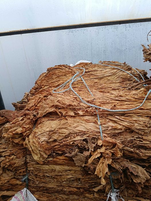 Tabac calitate premium livrare la domiciliu