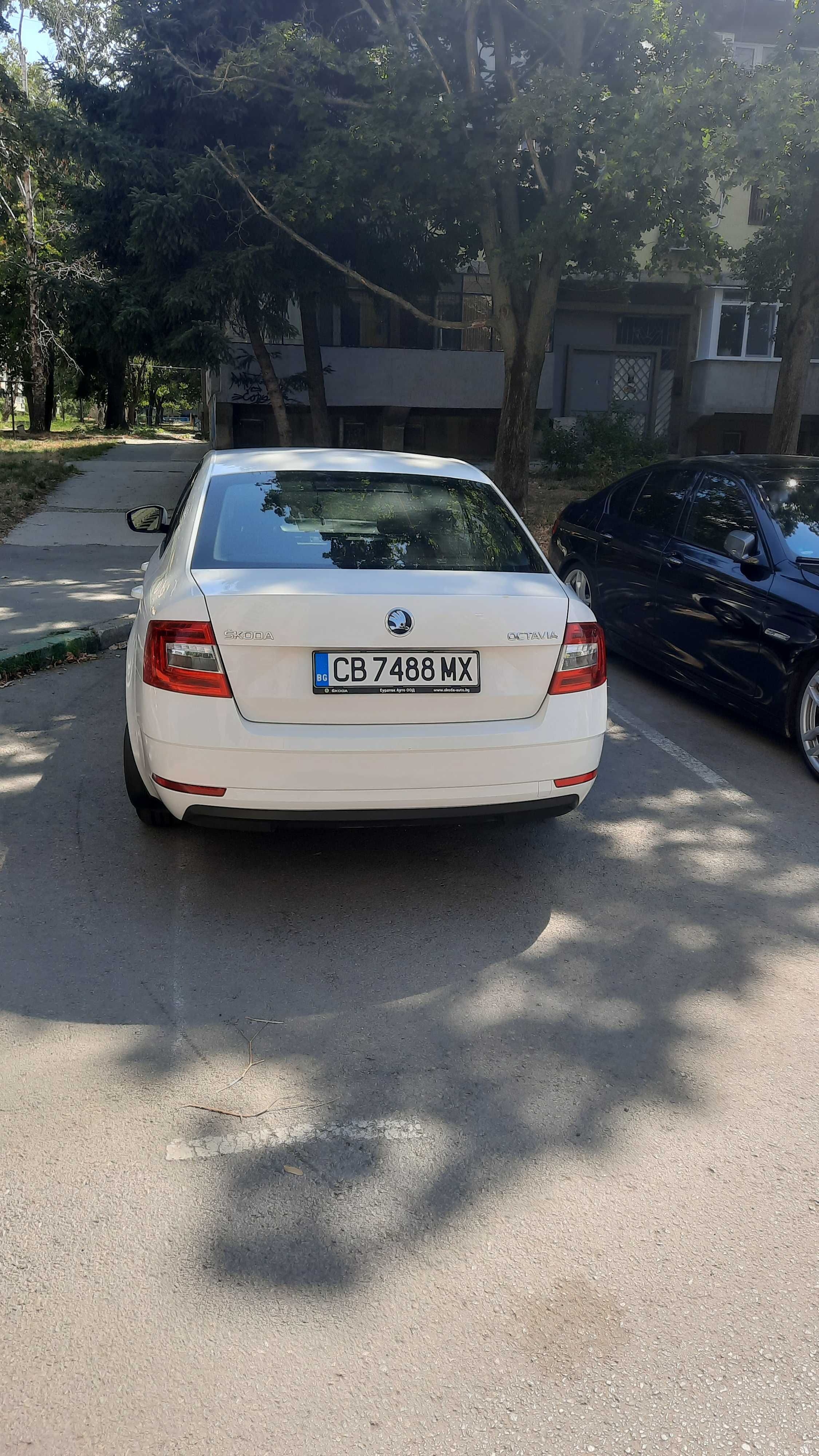 Много хубава Шкода Октавия