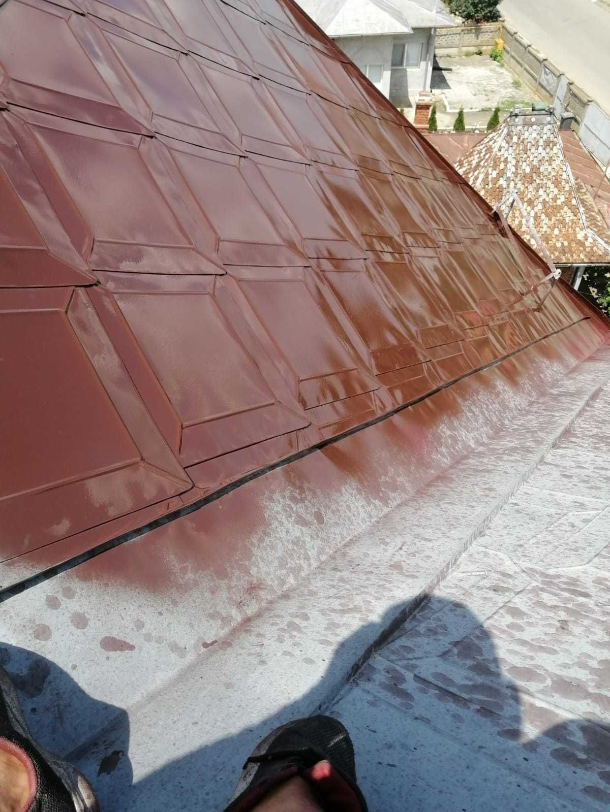 Vopsitor la tabla pe acoperis la casa, blocuri si alte suprafete