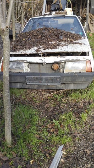 Продавам Рено 19 и Лада Самара на части