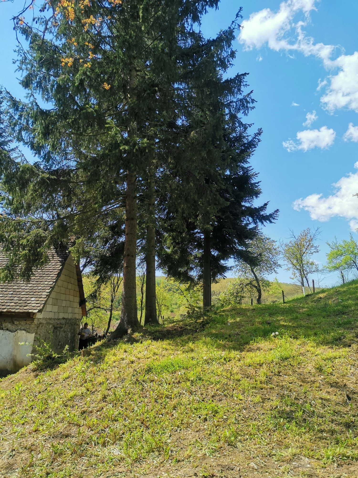 Casa de vanzare in Cladova