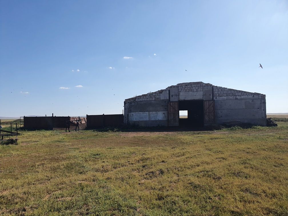 Крестьянское хозяйство с базой и домом.