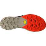 Pantofi alergare trail barbati Dynafit Alpine Pro 2